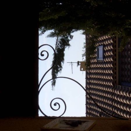 Réalisation d'une pergola sur mesure à Velaux motifs vignes